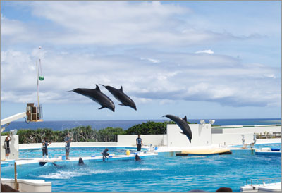 沖縄海洋博ちゅら海水族館